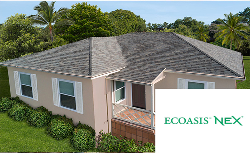 Ecoasis